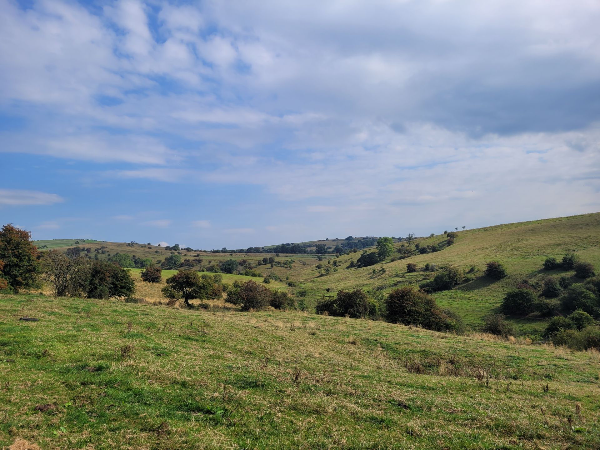 Rolling countryside